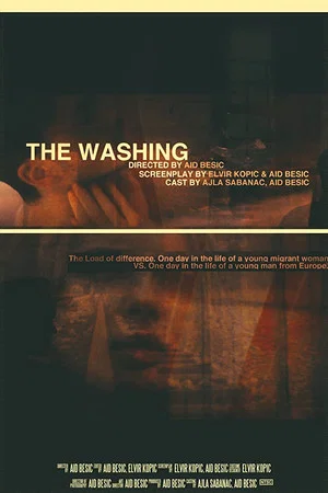 Постер: The Washing