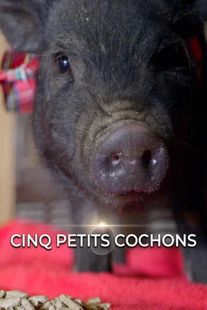Постер: Cinq petits cochons