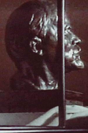 Постер: Disgraced Monuments