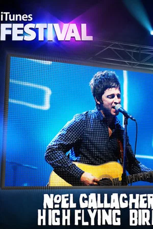 Постер: Noel Gallagher's High Flying Birds: iTunes Festival