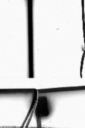 Постер: Structural Filmwaste. Dissolution 1