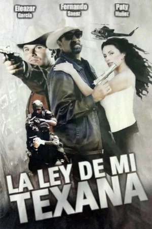 Постер: La ley de mi texana