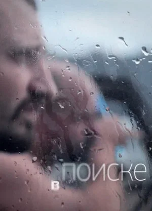Постер: В поиске