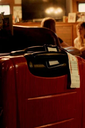 Постер: The Suitcase