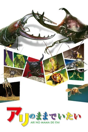 Постер: I Want to Stay an Ant
