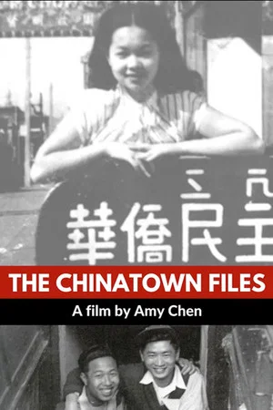 Постер: The Chinatown Files