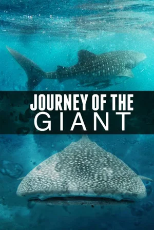 Постер: Journey of the Giant