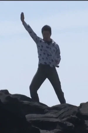 Постер: The Adventures of Minoru Shiraishi