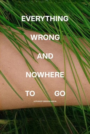 Постер: Everything Wrong and Nowhere to Go