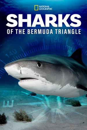Постер: Sharks of the Bermuda Triangle