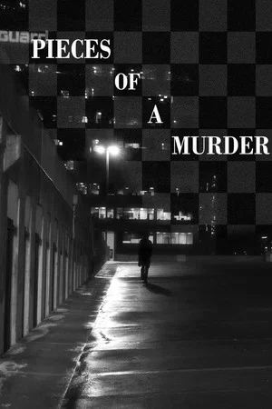 Постер: Pieces of a Murder