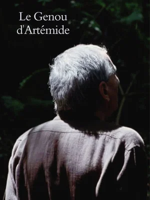 Постер: Artemide’s Knee