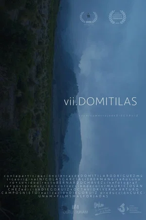 Постер: VII Domitilas