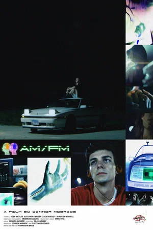 Постер: AM/FM