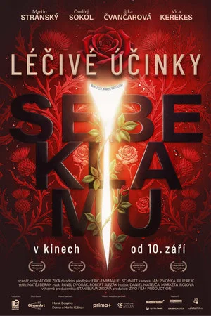 Постер: Léčivé účinky sebeklamu