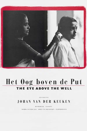 Постер: The Eye Above the Well