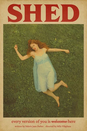 Постер: SHED
