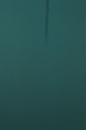 Постер: TEAL