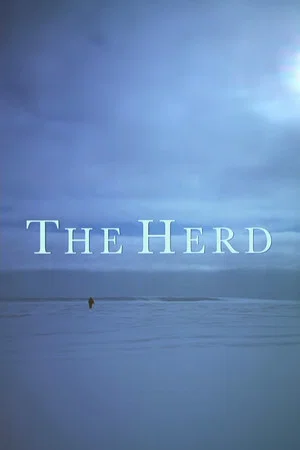 Постер: The Herd