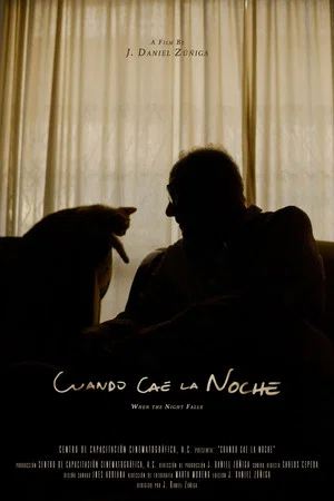 Постер: When The Night Falls