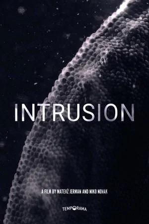 Постер: Intrusion