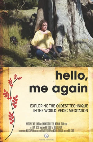 Постер: Hello, Me Again