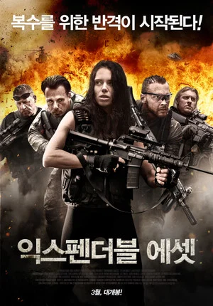 Постер: Expendable Assets