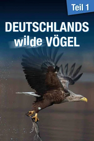 Постер: Deutschlands wilde Vögel