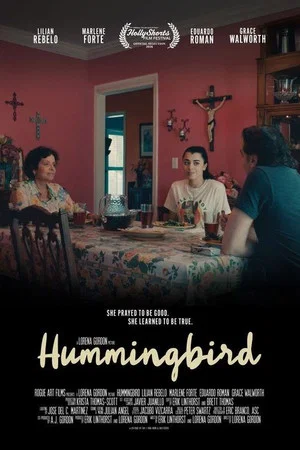 Постер: Hummingbird