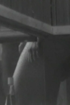 Постер: Sauna View