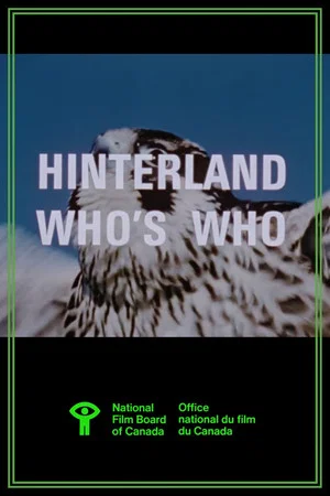 Постер: Hinterland Who's Who: Peregrine Falcon