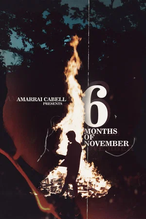 Постер: 6 Months of November