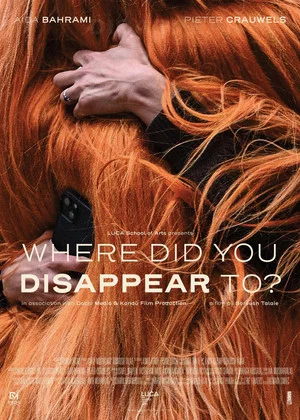 Постер: Where Did You Disappear to?