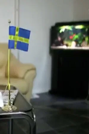 Постер: Sverigedemokraterna - vägen till riksdagen