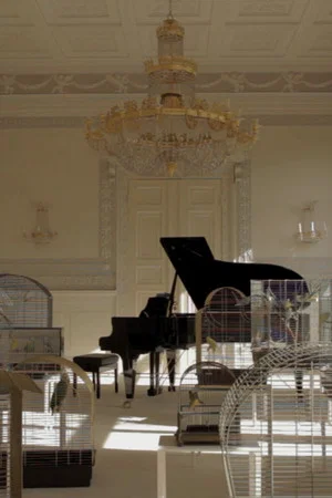 Постер: Playing to the Birds