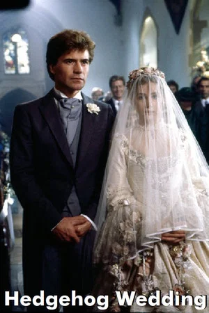 Постер: Hedgehog Wedding