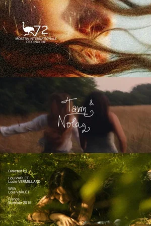 Постер: Tam et Nola