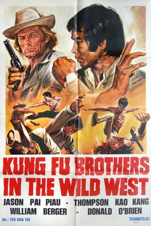 Постер: Kung Fu Brothers in the Wild West
