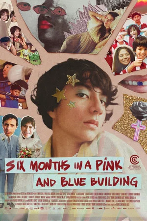 Постер: Six Months in a Pink and Blue Building