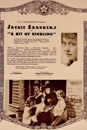 Постер: A Bit of Kindling