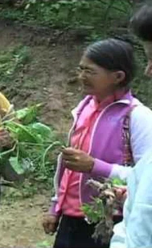 Постер: Farmácia Verde do Sertão