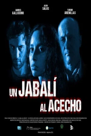 Постер: Un jabalí al acecho