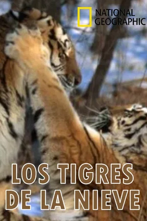 Постер: Los tigres de la nieve