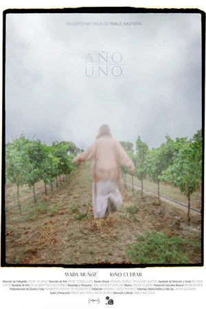 Постер: Año Uno