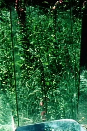 Постер: Peripeteia II