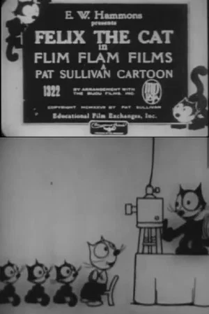 Постер: Flim Flam Films