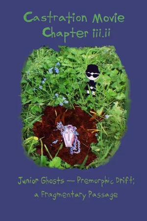 Постер: Castration Movie Chapter iii.ii Junior Ghosts—Premorphic Drift; a fragmentary passage