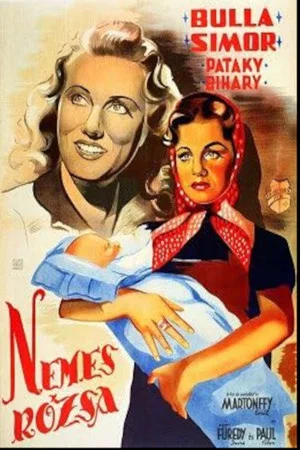 Постер: Nemes Rózsa