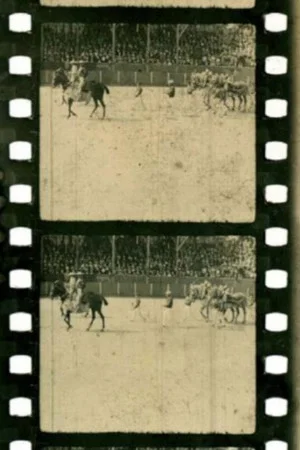 Постер: Corrida