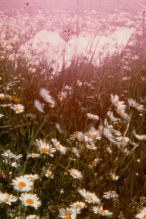 Постер: death by fantasies by mirrors